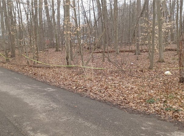 Idylwild Avenue, Lake Milton, OH 44429