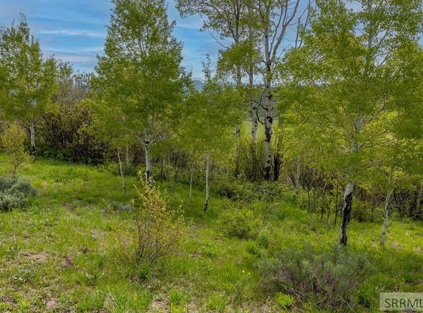 000 Grouse Creek Loop, Freedom, WY 83120