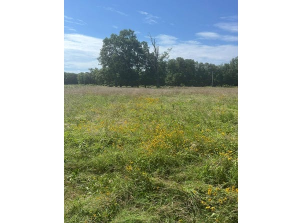 Tract 2  Highway 83, Howe, OK 74940