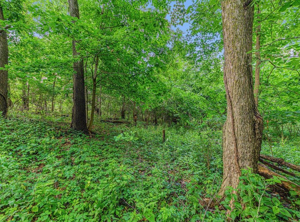 V/L Avenue C, Springfield, MI 49037