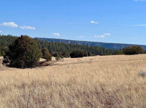 Juniper Drive lot: 9, Ramah, NM 87321