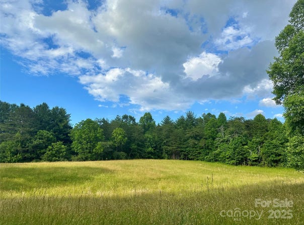 99999 Jenkins Valley Road, Alexander, NC 28701