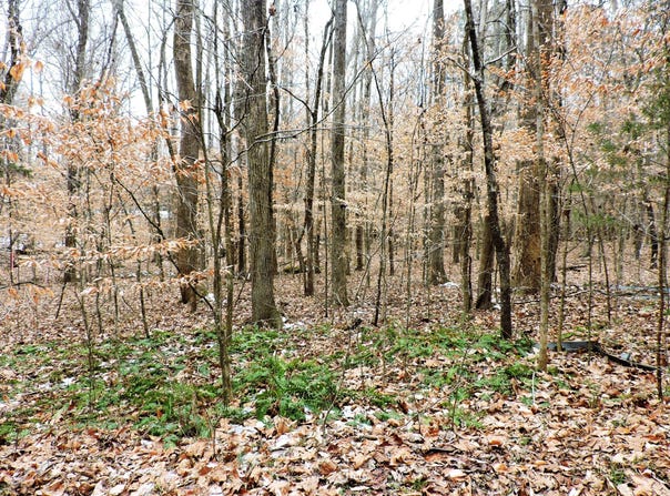 000 Canaan Circle, Hillsborough, NC 27278