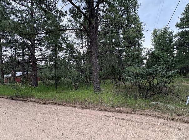 Birch Dr, Rye, CO 81069
