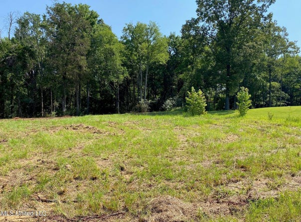 Mt Pleasant Road, Byhalia, MS 38611