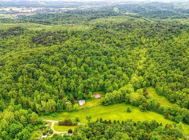 973 Umblebee Road, Liberty Twp, OH 45613