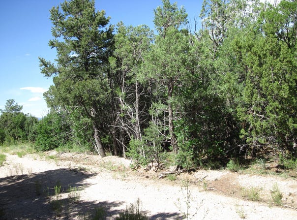 10433 NM 337 Highway, Tijeras, NM 87059