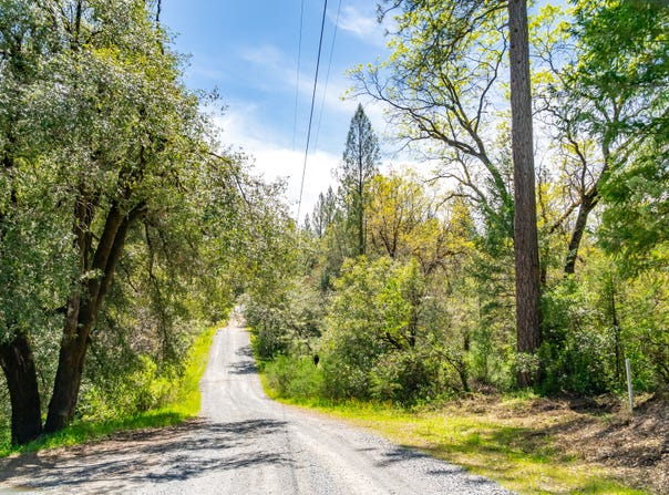 3291 Stage Trail Road, Greenwood, CA 95635