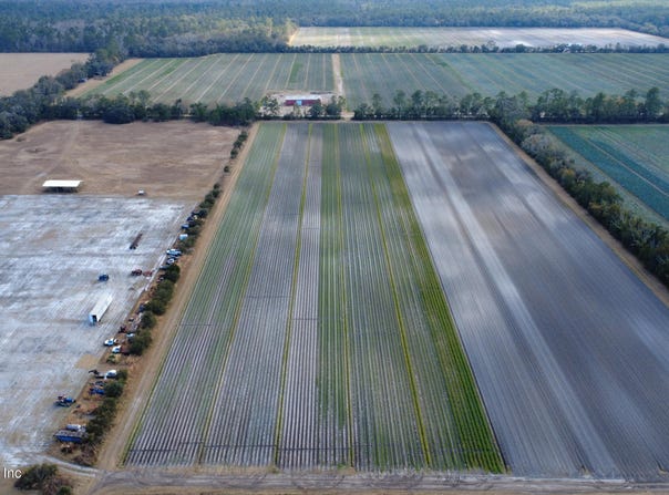 832 CO RD 110, Bunnell, FL 32110