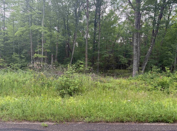 0000 Butler Rd, Winter, WI 54896
