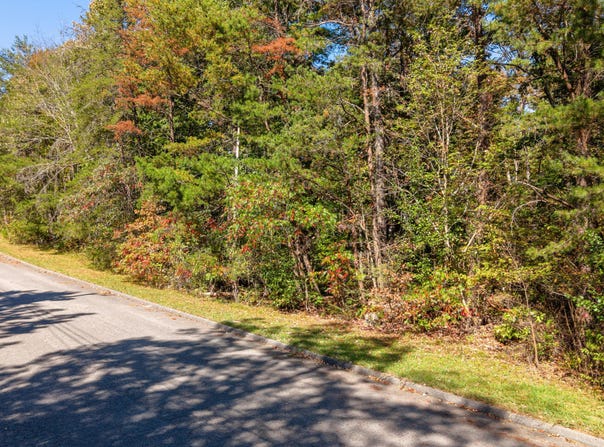 Smith Drive lot: 37, Signal Mountain, TN 37377