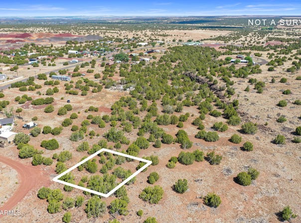 8798 ROBBINS Place, Show Low, AZ 85901