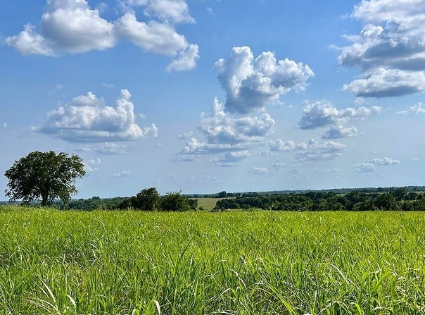 TBD Chadwick Hogan Road, Chappell Hill, TX 77426