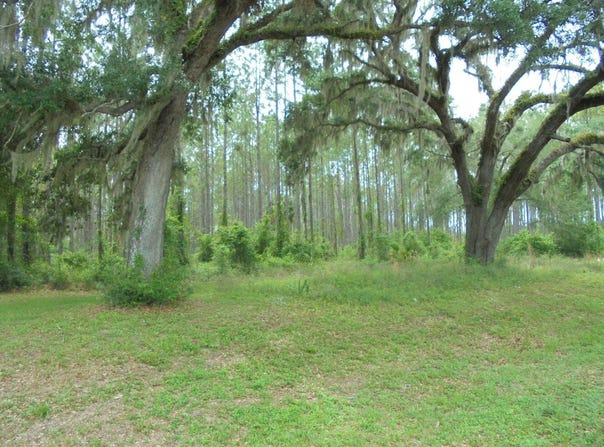 0 US 19 South, Perry, FL 32348