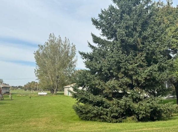 328 W 9th Ave.,, Webser, SD 57274