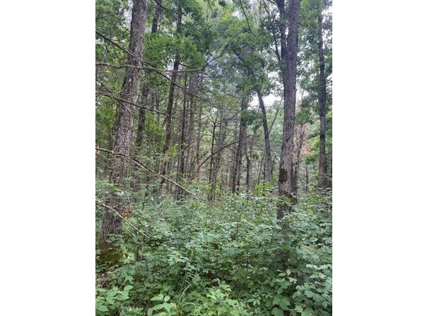 6230 S Evergreen Drive, Newaygo, MI 49337
