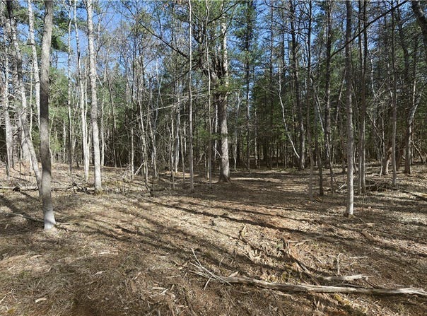1.74 Acres 9th Street, Spooner, WI 54801
