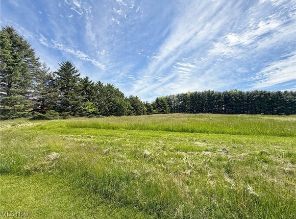 49631 Foxwood Lane, East Palestine, OH 44413