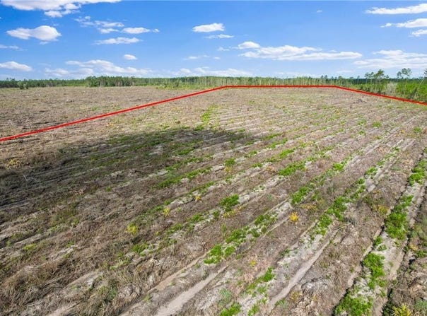 Tract 3 Morris Break Road, Odum, GA 31555