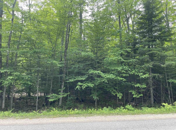 Parcel "A" W Smith Lake, Manistique, MI 49854