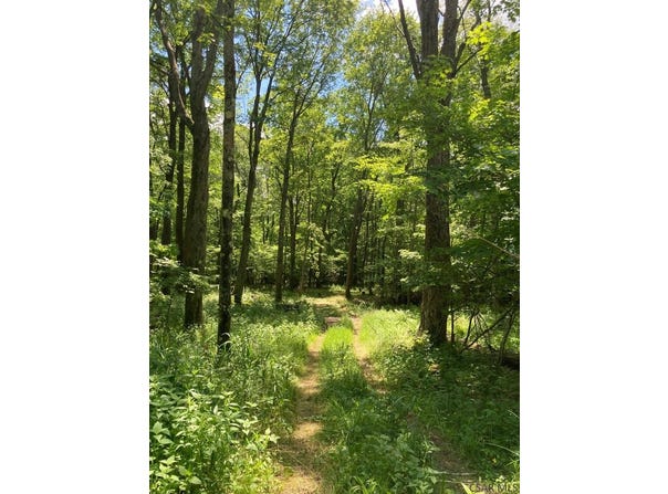 1215 Sandy Run Road lot: Angle, Confluence, PA 15424