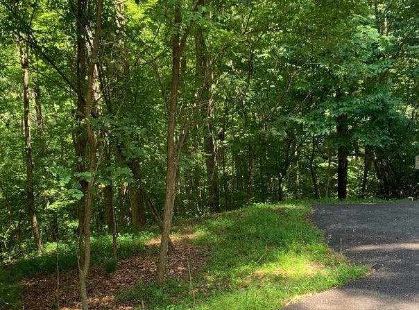 Lot21 Bryant Cove Road, Blairsville, GA 30512