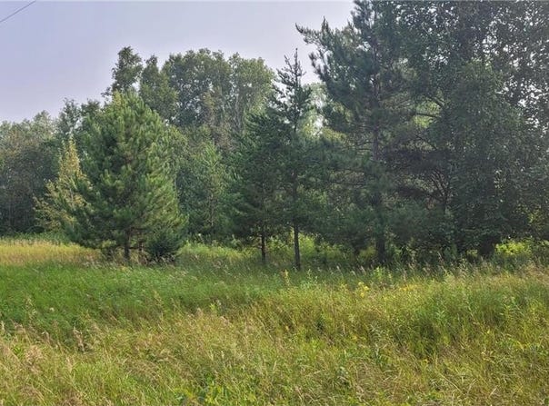 Tbd* 16th Street SW, Backus, MN 56435