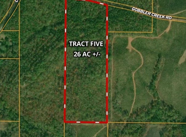 Tract 5 - Gobbler Creek Road, Wedowee, AL 36278