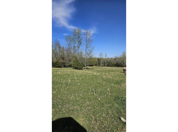 1075 County Road 417, Rector, AR 72461