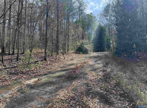 Lot 0 Dearmanville Road, Anniston, AL 36207