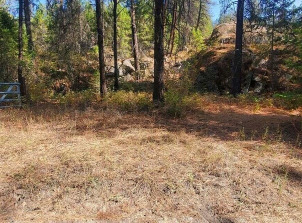 3733 XX SAND CREEK RD, KETTLE FALLS, WA 99141
