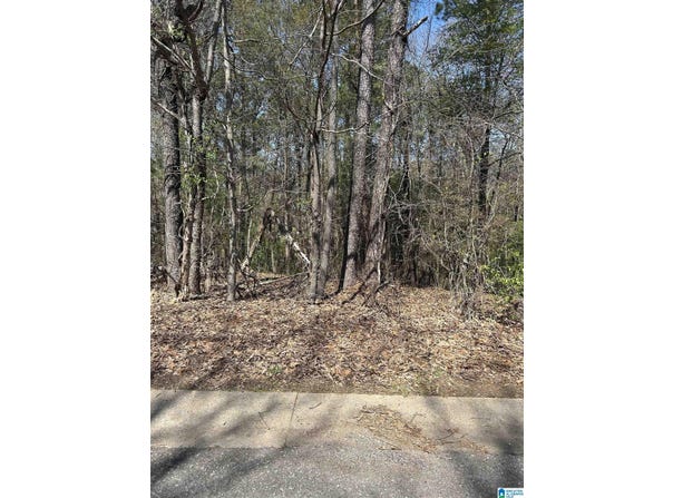 7811 GENERY TRAIL, MCCALLA, AL 35111