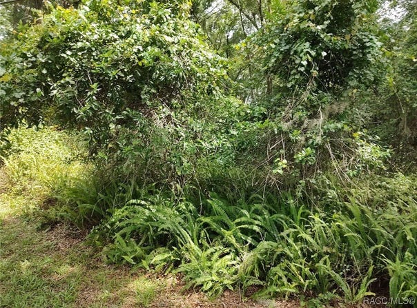 8504 E Henderson Trail, Inverness, FL 34450