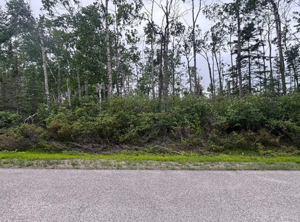 Pine St lot: 92, Presque Isle, MI 49777