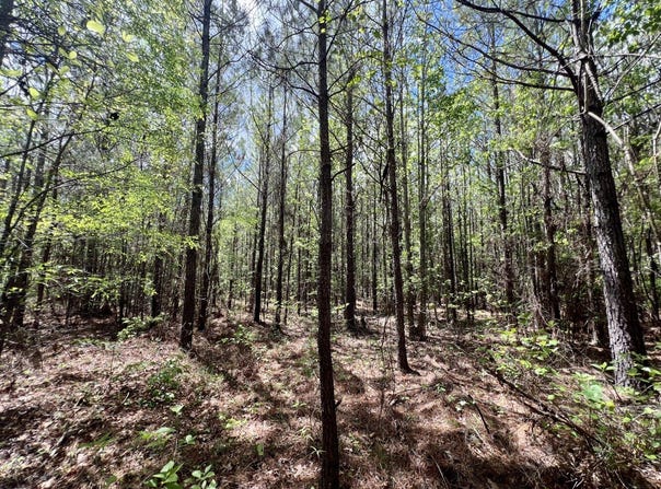 0 Brooklyn Road, Sweet Water, AL 36782