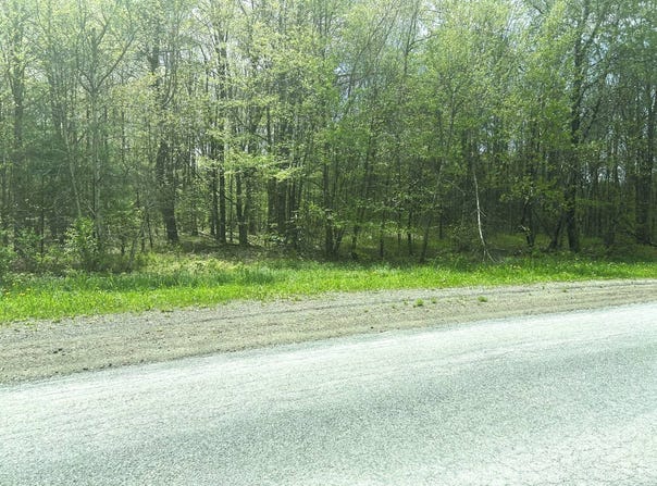 0 Appaloosa Trl, Walton, NY 13856