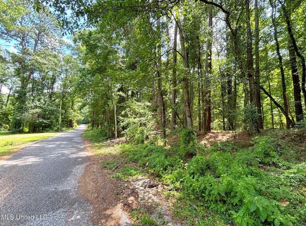 SE Freeman Road, Summit, MS 39666