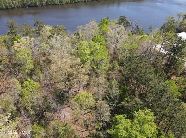 River Bluff Drive lot: 13, Winton, NC 27986