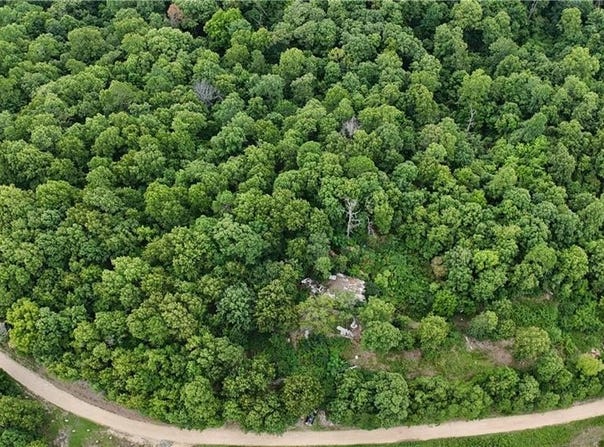 1267 Brushy Fork, Yellville, AR 72687
