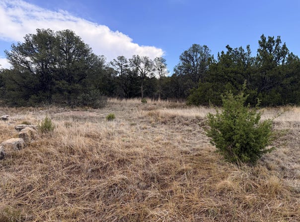 Horseshoe Bend Road lot: 8, Edgewood, NM 87015
