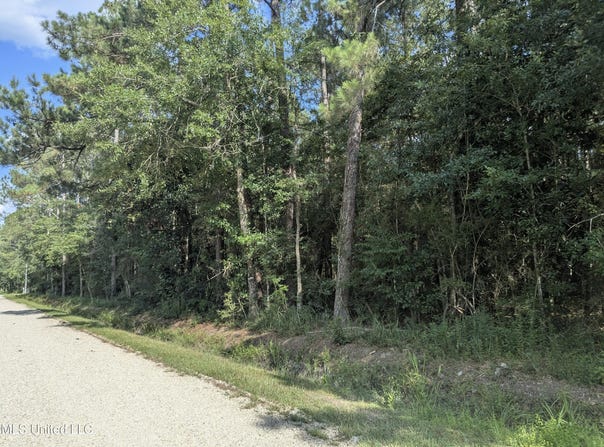 W. Newton Street, Bay Saint Louis, MS 39520