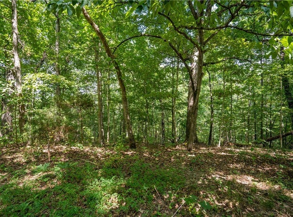 Armitage Drive lot: 12, Bella Vista, AR 72715