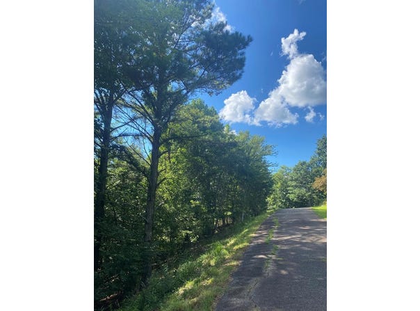 Lot 112 Natalie Lane, Blairsville, GA 30512