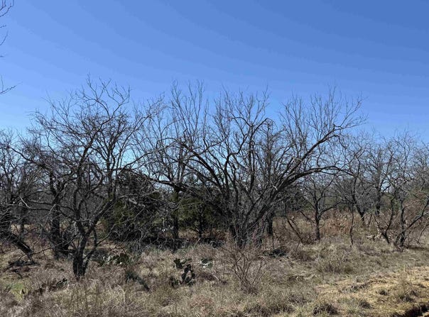 Lot 102 Ridgemont Drive, Kingsland, TX 78639