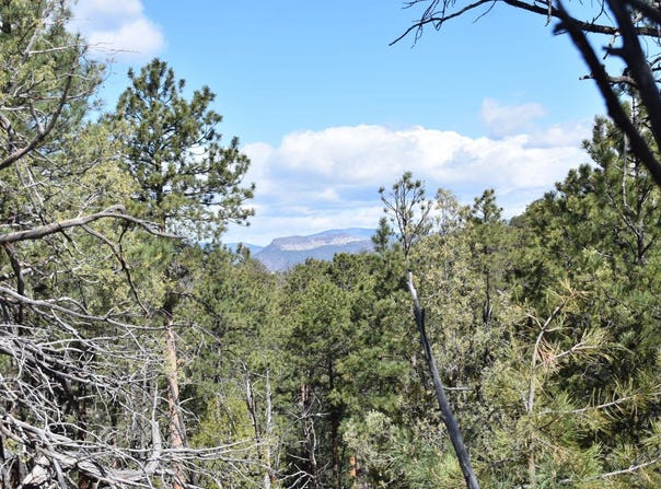 Snowy way, Cotopaxi, CO 81223