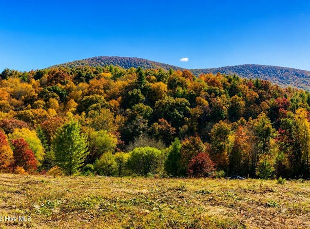 488 Dewitt Road, Glade Valley, NC 28627
