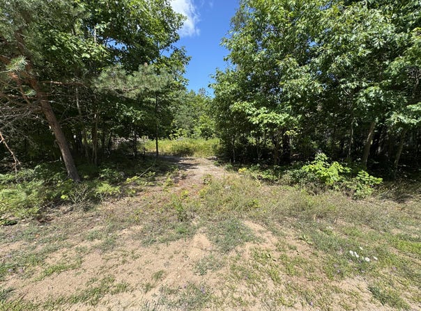 Daisys Way, Kinross, MI 49752