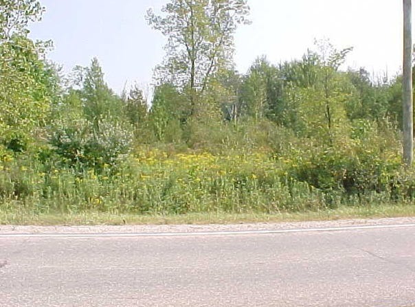 County Line Road, Casco, MI 48064