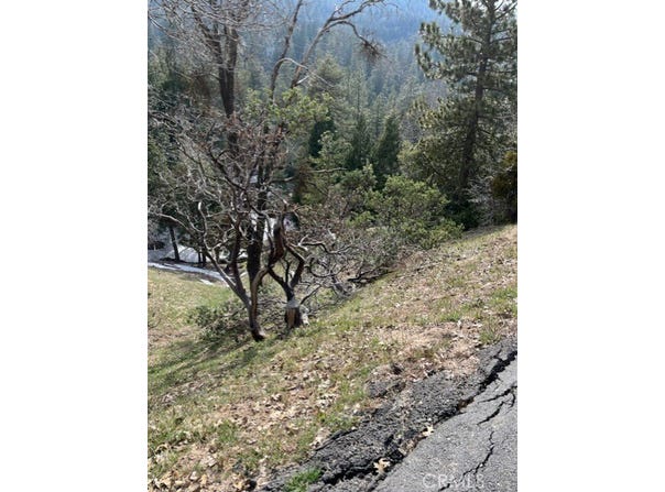 818 Berne, Crestline, CA 92391