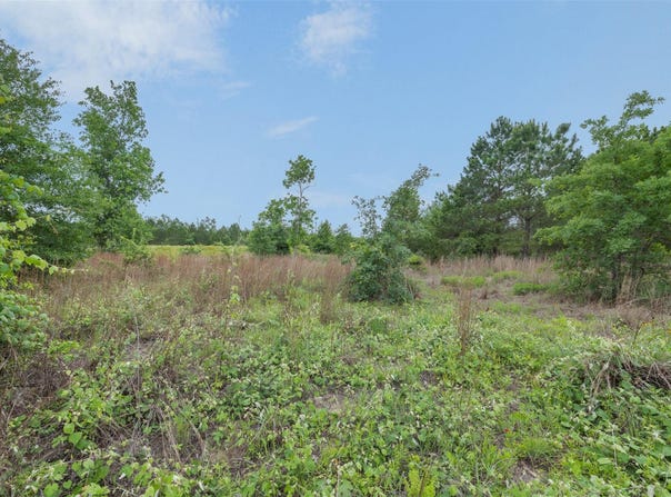 TBD Lot 20c County Rd, Bastrop, TX 78602